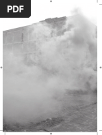 Santos, Fabiano. Do Protesto Ao Plebiscito