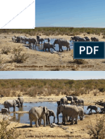 Elefantisches - PDF Datei PDF