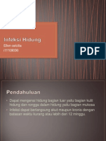 Infeksi Hidung