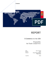 USA E-Commerce Report 2013