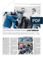 Los Frioleses Desenfundan Las Tijeras PDF