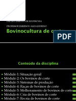 2013 - 1 - 1.situação Atual e Perspectivas Da Bovinocultura de Corte - 2011