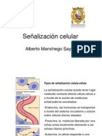 Sealizacincelular2011 110621205908 Phpapp02