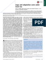 Coastal Flooding Study