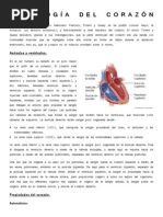 FISIOLOGÍA DEL CORAZÓN