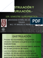 Gastrulacion y Neurulacion