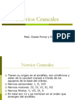 Pares Craneales 2012-1