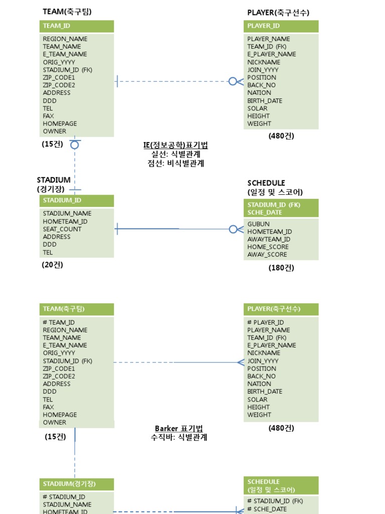 Soccer Player and Team Database | PDF
