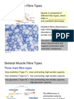 BIO2A03-Muscle Lecture Notes 3a