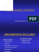 Clasificación de Las Neoplasias