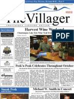 The Villager-Lakeside: October 2009