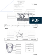 Ujian Bulanan 1 Sains Tingk 2