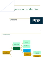 The Organization of The Firm
