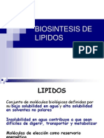 Biosintesis de Lipidos