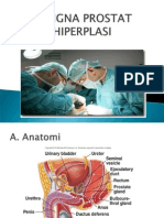 Benign Prostat Hiperplasi 2