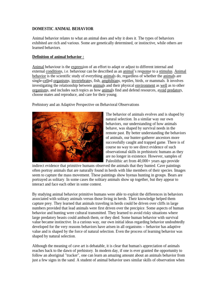Animal Behavior | Ethology | Evolution