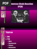 Aula PCR