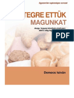 Demecs István - Betegre Ettük Magunkat