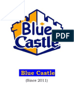 Project Report On Blue Castle (RM)