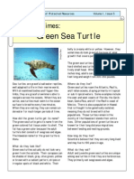 Green Sea Turtle for Kids