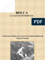 9 - Bolca