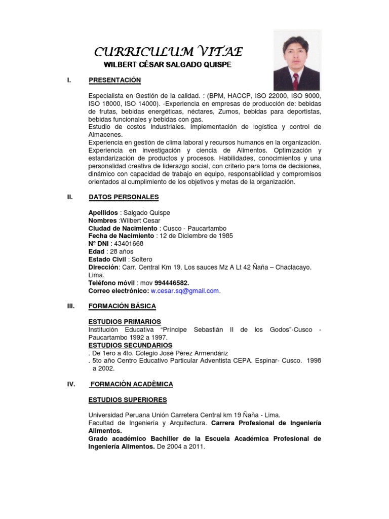 Curriculum vitae format in word image
