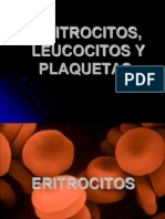 Eritrocitosleucocitosyplaquetas 121124180451 Phpapp01