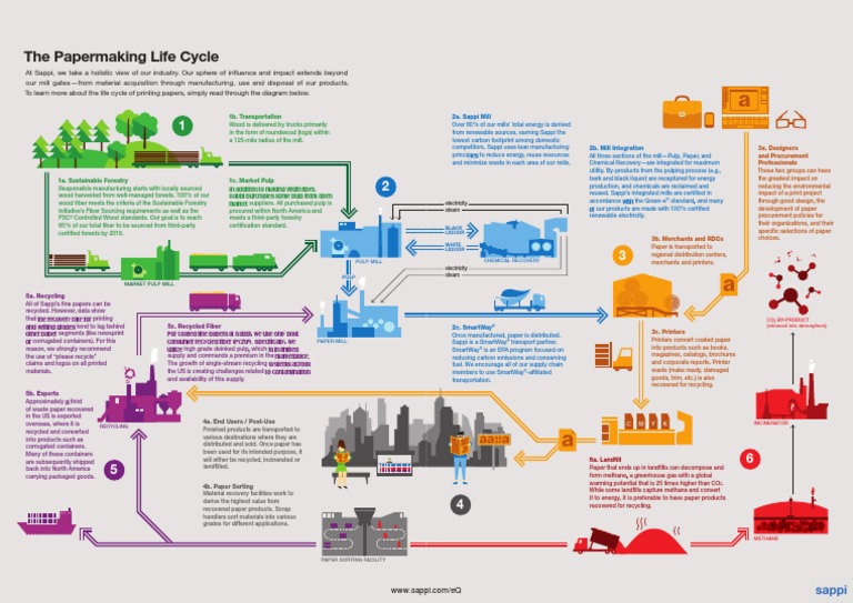 Sappi Paper Life Cycle Pulp (Paper) Recycling