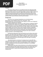 Bioinformatics LAb Report