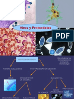 VIRUS y PROTOCTISTAS