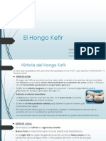 El Hongo Kefir ENTERO