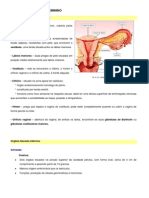 Ficha Informativa - Sistema Reprodutor Feminino