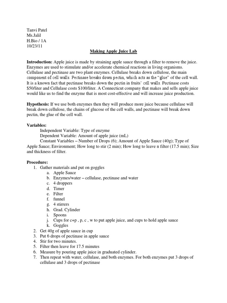 Enzymes Lab Report Cell Wall Experiment