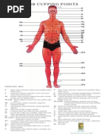 Download Cupping Points by Aamir9 SN204996823 doc pdf