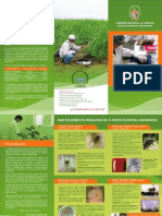 Laboratorio Insectos PDF