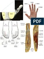 Manos y Pies Nombres001
