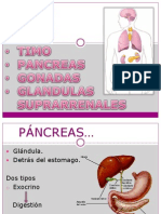 Pancreas