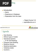 IBM Data Model1