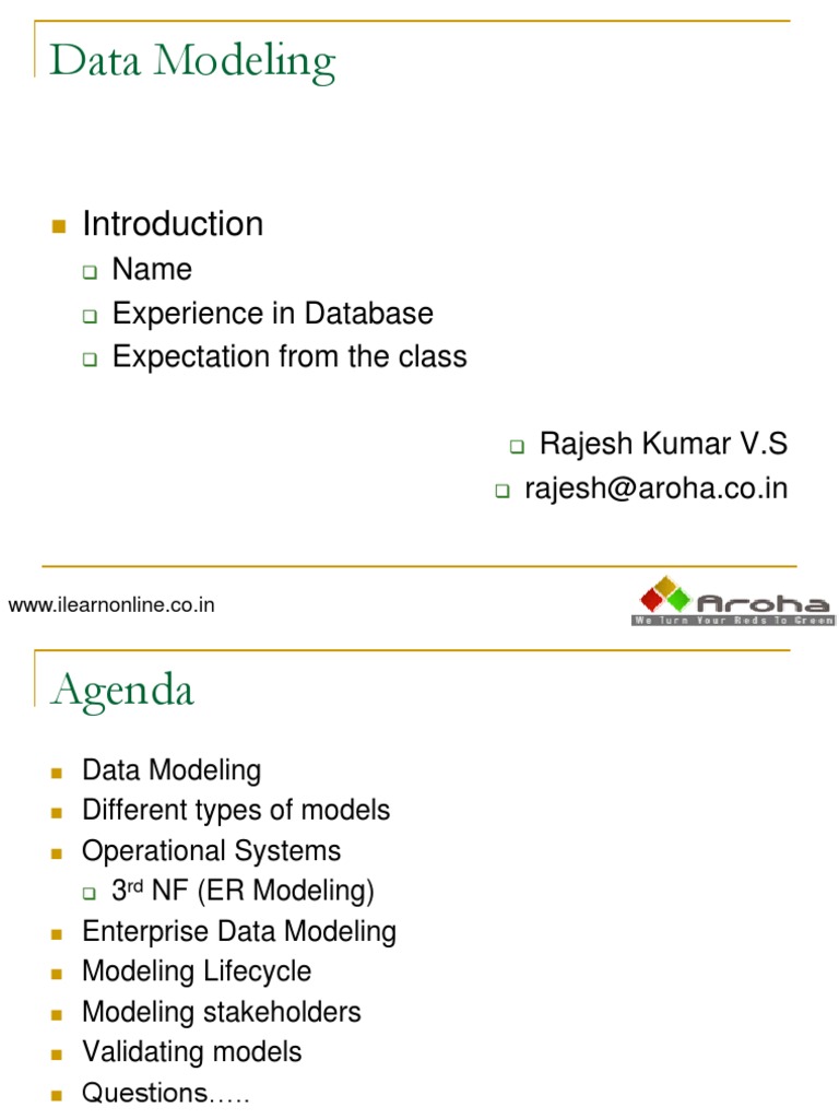 IBM Data Model1 | PDF | Conceptual Model | Data Model