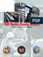 TDW Brochure