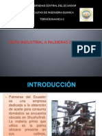 Exposicion de Palmeras Del Ecuador