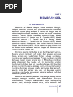 Download MEMBRAN SEL ADNAN by adnangassing SN20509406 doc pdf