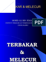 Download TERBAKAR DAN MELECUR by Ali Mohd SN2051005 doc pdf