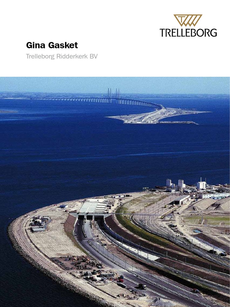 Gina Gasket PDF Tunnel Applied And Interdisciplinary Physics