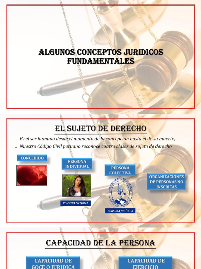Conceptos Jurídicos Fundamentales PDF