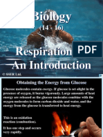 2 8 1 respiration 1 - an introduction