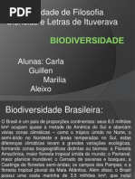 Bio Divers i Dade
