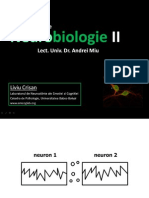 Fiziologie_neuroni