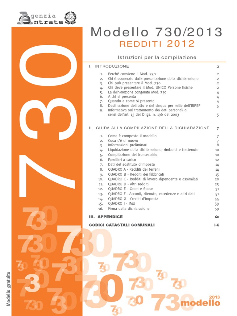 7302013istruzioniv2 Taxes Information Privacy