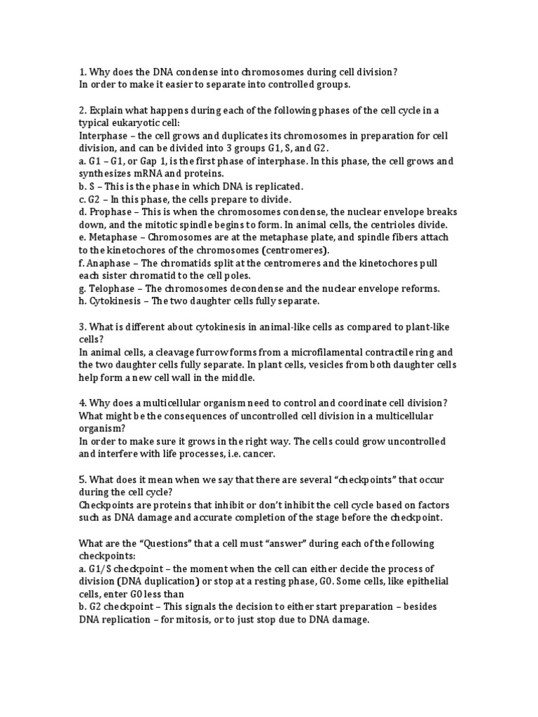 Worksheets Comparing Mitosis And Meiosis Worksheet Answers Biology comparing mitosis and meiosis worksheet key delibertad collection of comparison sharebrowse answers